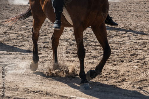 race runner winning horse portrait © patoouupato