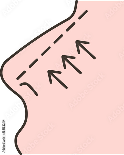 rhinoplasty icon