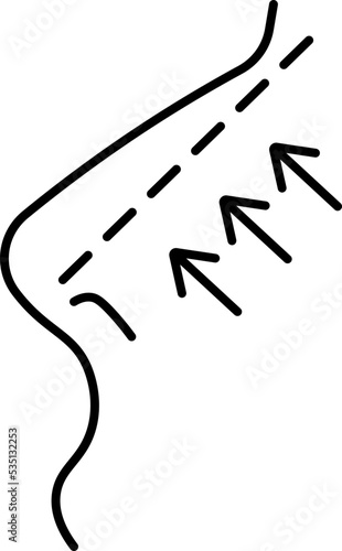 rhinoplasty icon