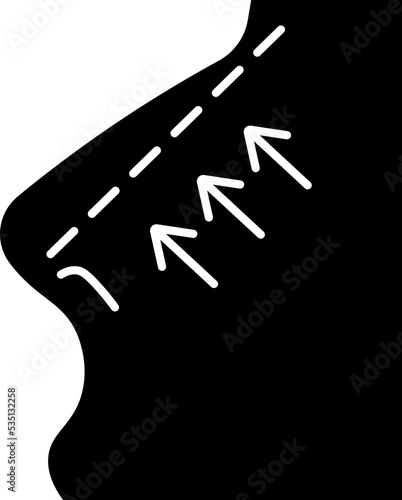 rhinoplasty icon