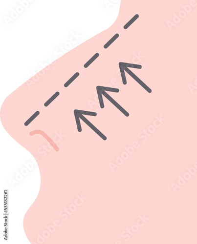 rhinoplasty icon