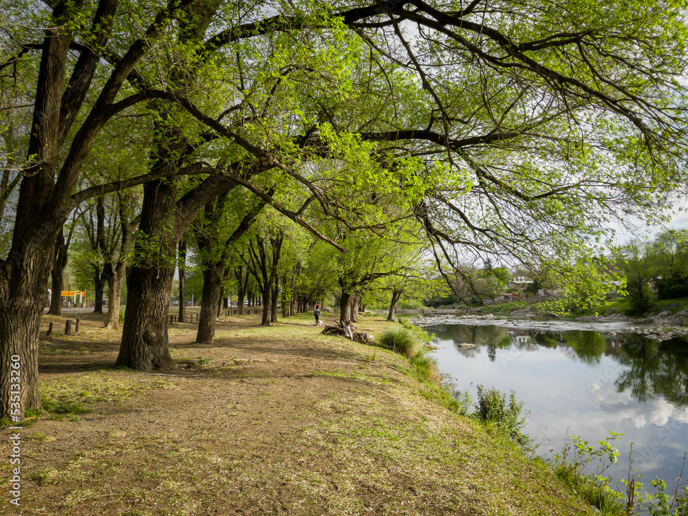 Árboles con hojas verdes al costado del río. río Cosquín, Córdoba. Ecología, naturaleza y medioambiente.