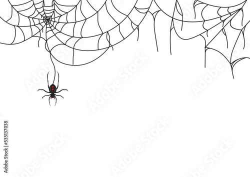 spider web on a White Background for halloween design