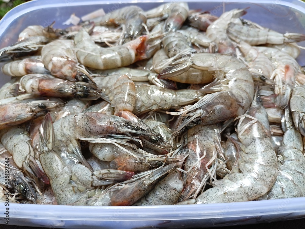 Fresh shrimp in plastic containers for sale in the market Fresh shrimp in plastic containers for sale in the market