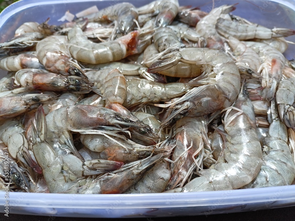 Fresh shrimp in plastic containers for sale in the market Fresh shrimp in plastic containers for sale in the market