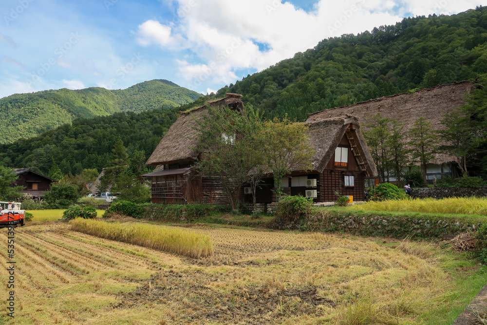 岐阜県の白川郷の古民家と稲作