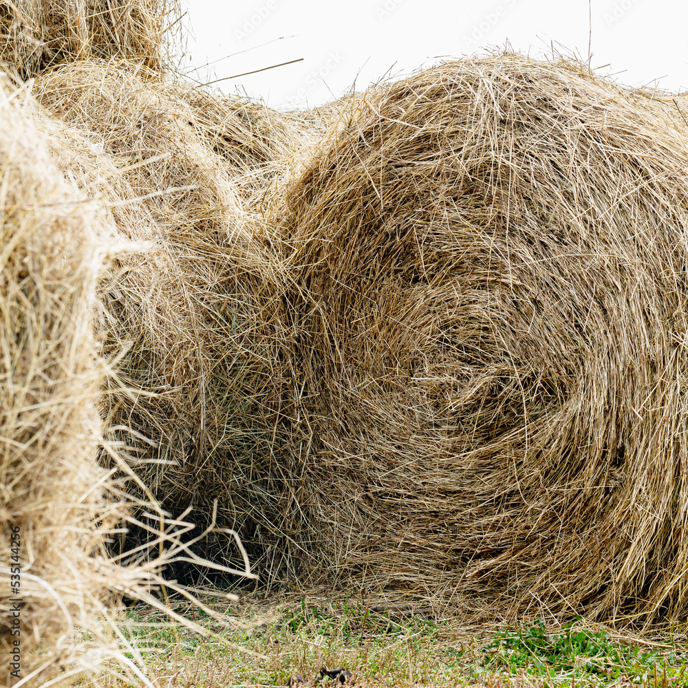 Stack of hay. Autumn background. The hay is twisted. Stack of hay. Autumn background. The hay is twisted.