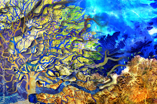 Fototapeta Naklejka Na Ścianę i Meble -  Collage river delta with interweaving and layering of several layers in the shape of a tree crown. Satellite view. Elements of this image furnished by NASA.