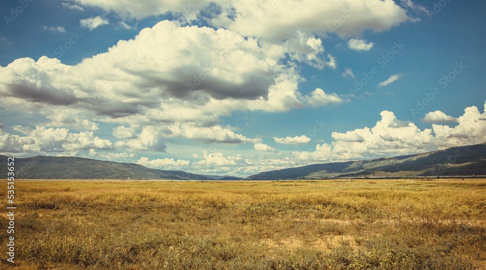 field and sky field and sky