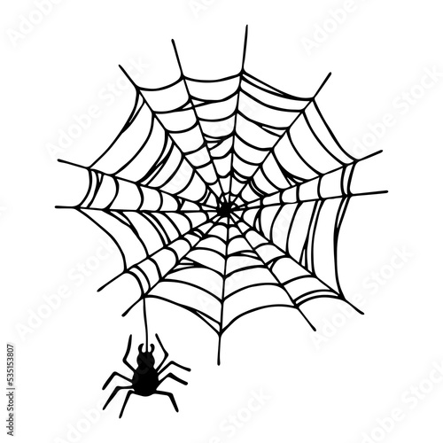 Simple hand drawn spider clipart. Halloween doodle for print, web, design, decor, logo