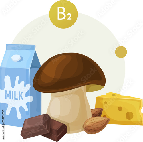 Natural food sources of vitamin B2 for healthy diet