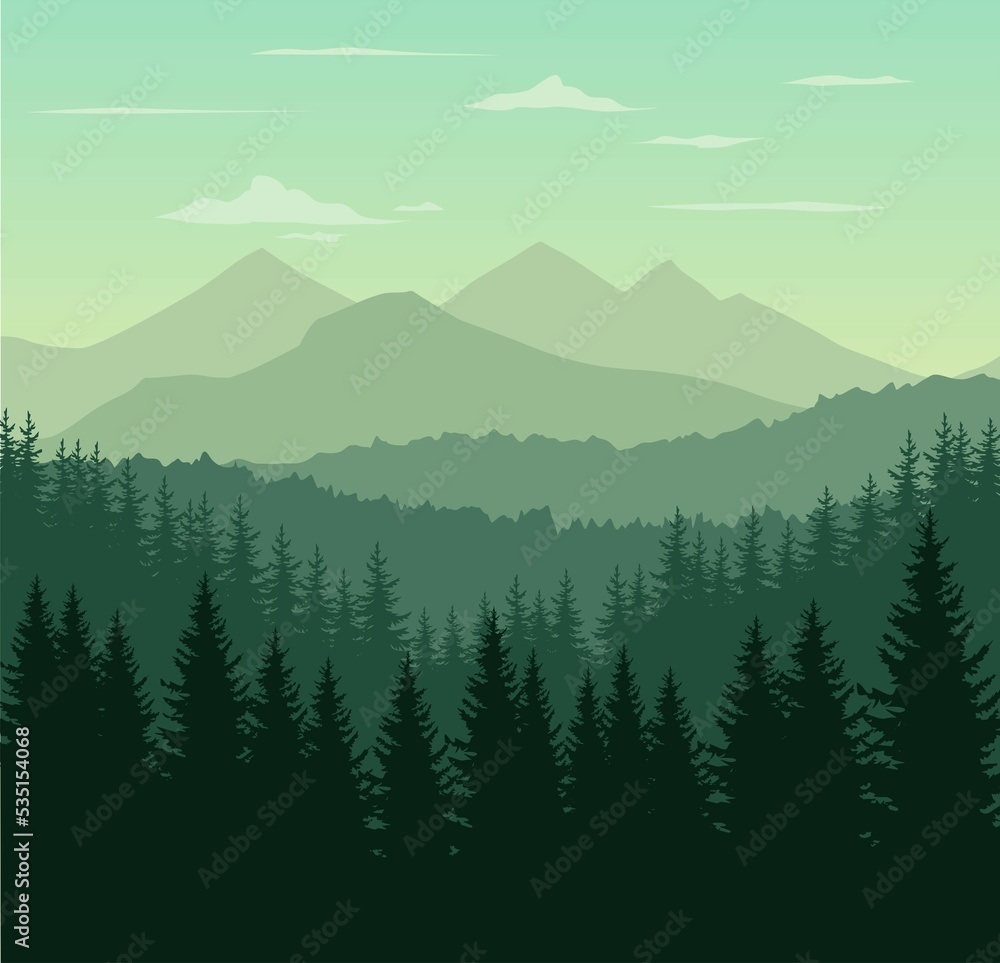 Fototapeta premium forest in the mountains