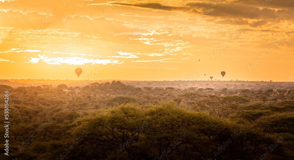 Scenic view over the Serengeti with hot air balloons in the sky at sunrise