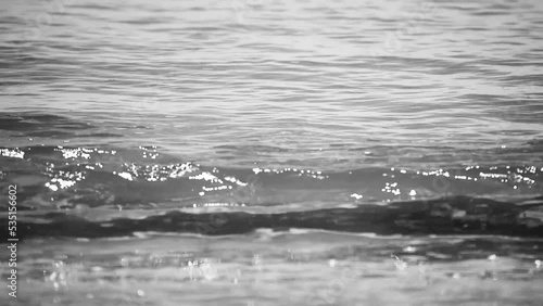 waves on the beach, monochrome, close-up 4