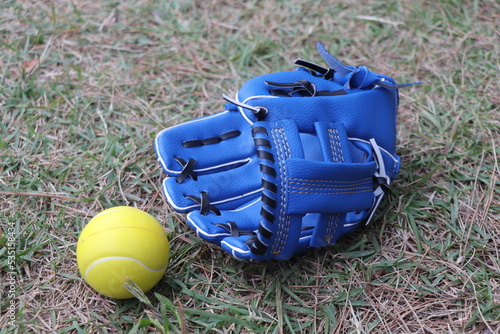 野球 グローブ ボール 遊び　おもちゃ スポーツ 用品