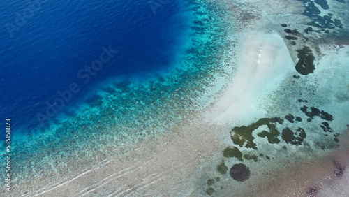 Birds eye view of marine biodiverse Coral Triangle reef ecosystem, aerial drone view, with stunning crystal clear ocean water on the  remote tropical Atauro Island, Timor Leste photo