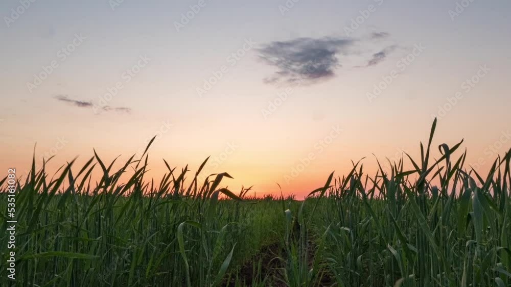 Sunrise 4k. Clouds and Sun Rising Sky Time Lapse. Closeup Telephoto Lens. Travel, Beginning, Nature Concept. Location: Southern Sweden. Sunrise 4k. Clouds and Sun Rising Sky Time Lapse. Closeup Telephoto Lens. Travel, Beginning, Nature Concept. Location: Southern Sweden.
