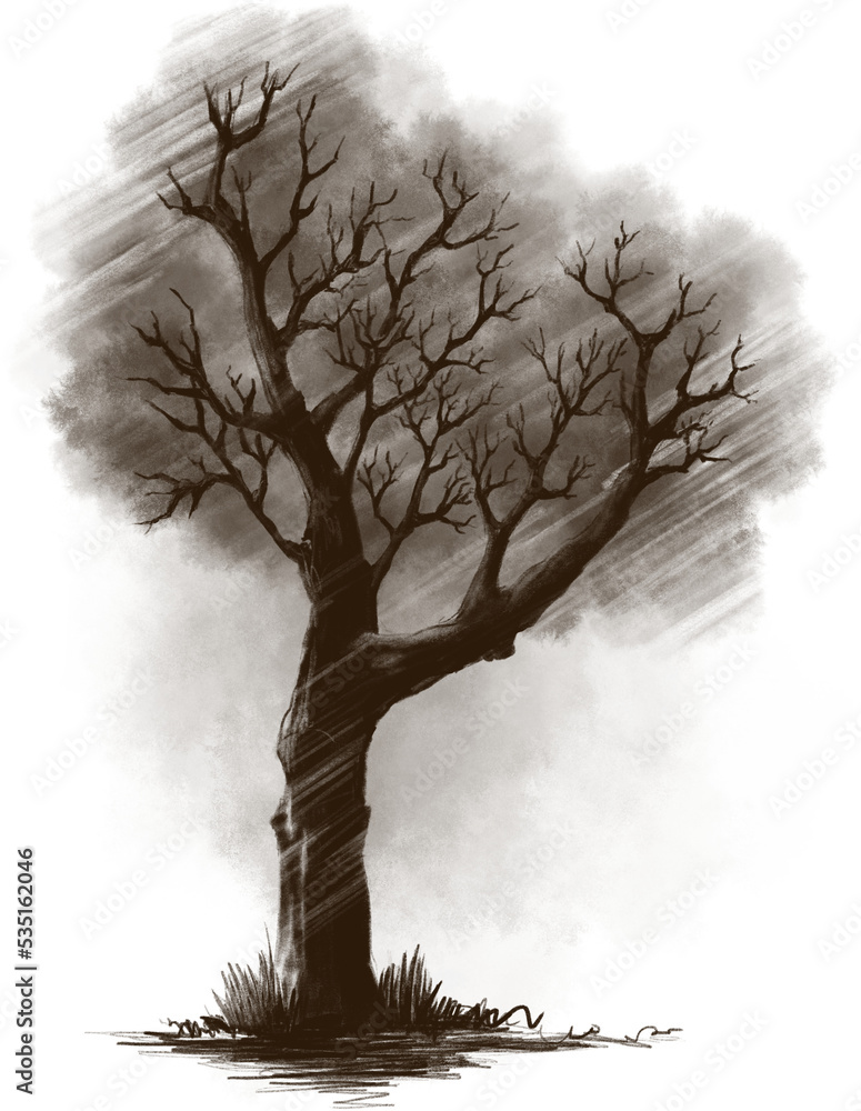 High-resolution dead tree PNG drawing with transparent background ...