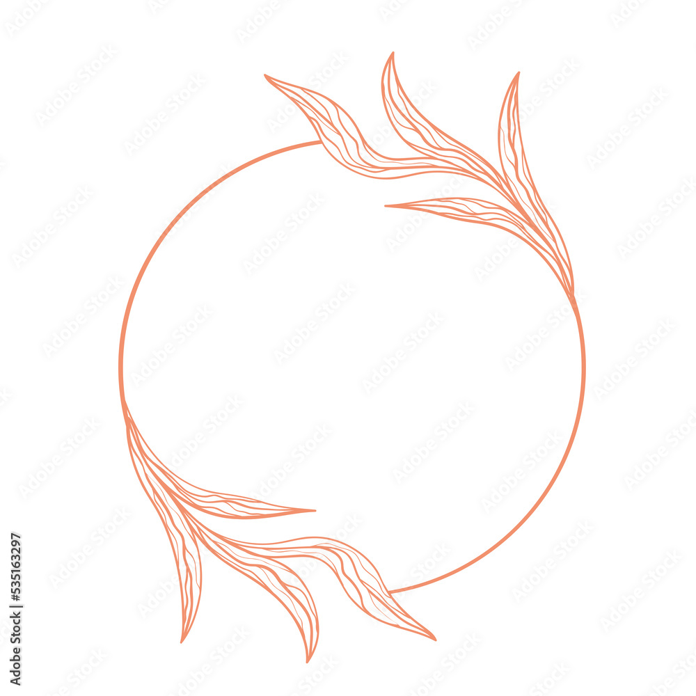 Botanical frame. Transparent background. Botanical frame. Transparent background.