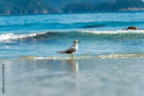 岩手県大槌町の海