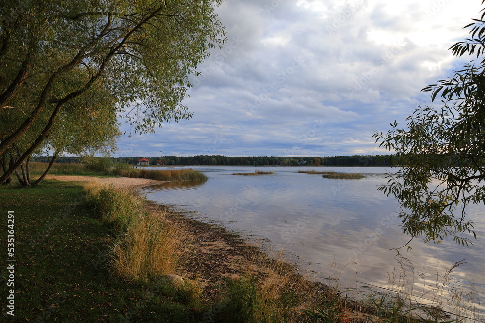 Fototapeta premium lake in the woods