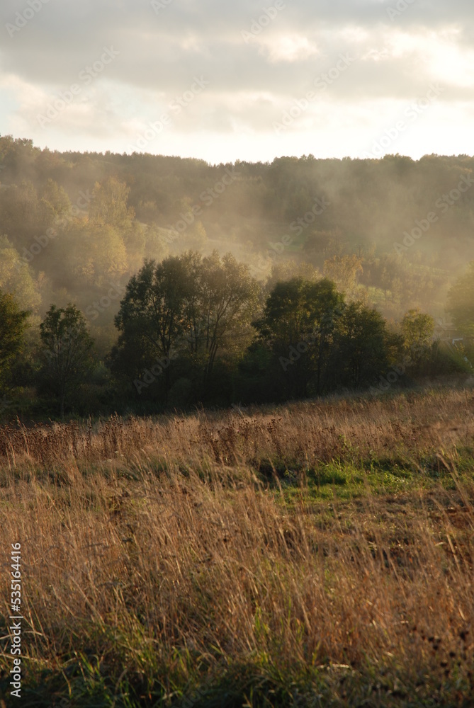 Wiejski krajobraz jesienny z mgłą nad lasem — jesień