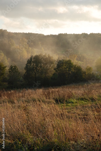 Wiejski krajobraz jesienny z mgłą nad lasem — jesień