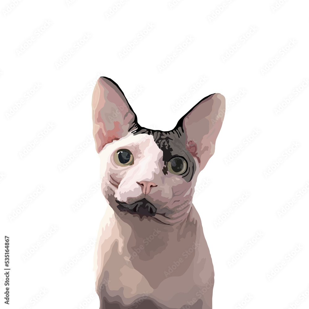 Cat illustration, Custom cat portrait