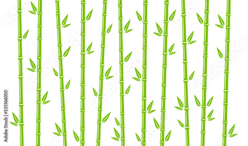 Bamboo background with stalk  branch and leaves. Green bamboo grove backdrop design. Vector illustration isolated in flat style on white background.