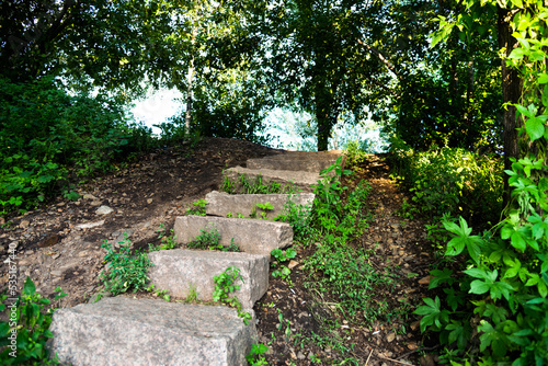 Old stone steps in the forest