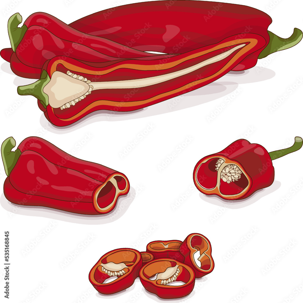 Whole, half, quarter, slices, and wedges of Sweet Italian chili peppers. Friggitello. Tuscan peppers. Pepperoncini peppers. Vegetables. Cartoon style. Vector illustration isolated on white background. Whole, half, quarter, slices, and wedges of Sweet Italian chili peppers. Friggitello. Tuscan peppers. Pepperoncini peppers. Vegetables. Cartoon style. Vector illustration isolated on white background.