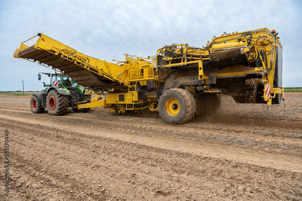 Récolte de pomme de terre en plaine. Ensemble tracteur Fendt 720 et