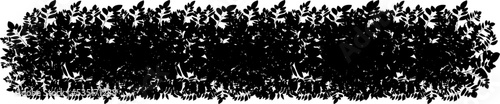 Set of ornamental black plant in the form of a hedge.Realistic garden shrub, seasonal bush, boxwood, tree crown bush foliage.For decorate of a park, a garden or a fence.