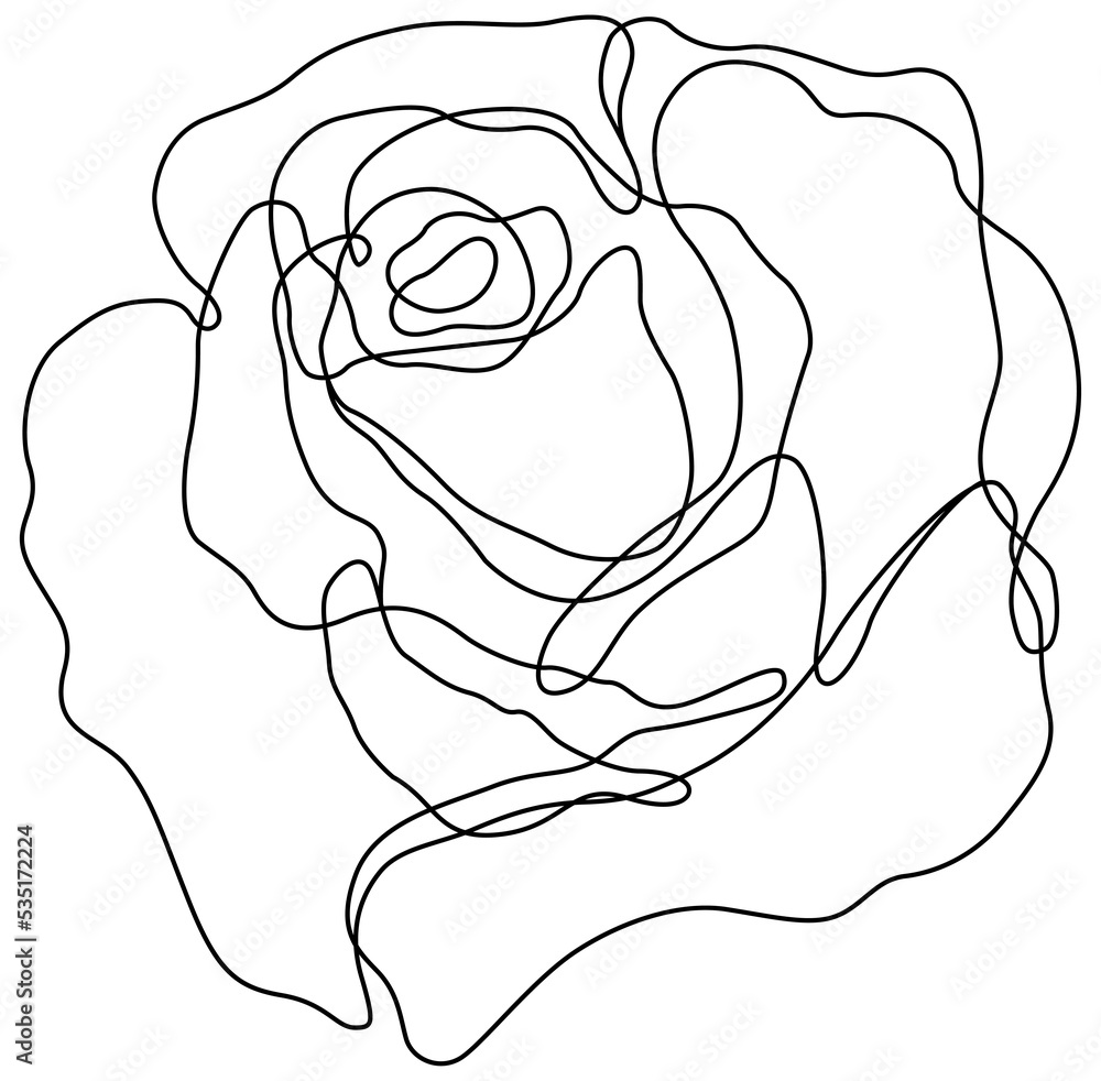 Rose flower isolated on white. Hand drawn continuous line png.
Rose flower isolated on white. Hand drawn continuous line png.