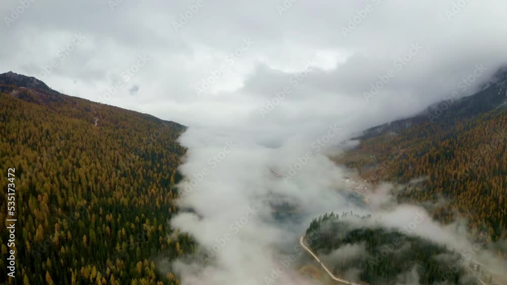 Fog slowly moving down forest Fog slowly moving down forest