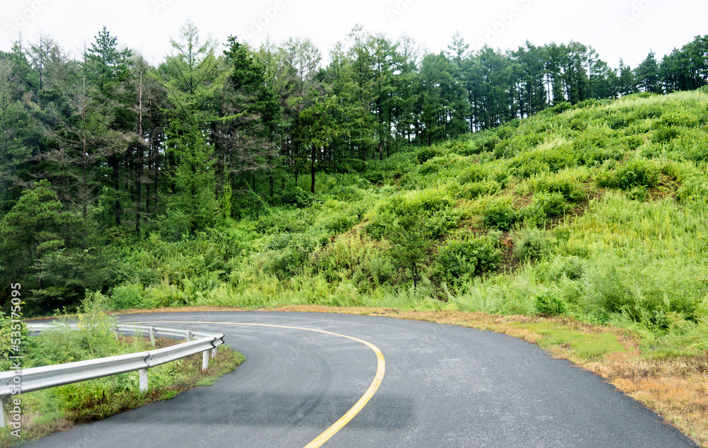 Asphalt road through green field in summer day Asphalt road through green field in summer day