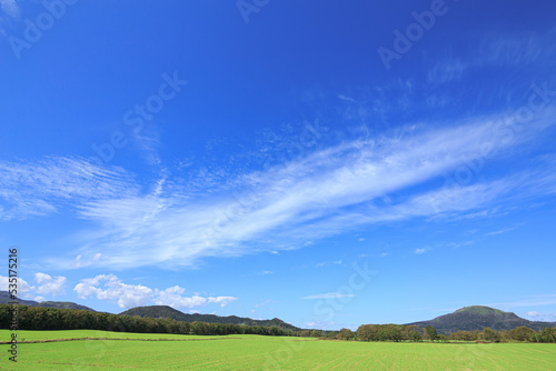 青空の下の牧草地と山の風景