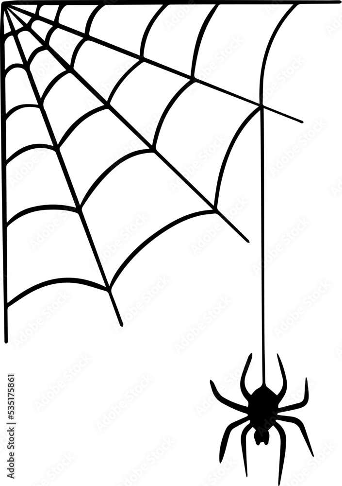 Vector illustration of spider web and hanging spider. Stock Vector | Adobe  Stock
