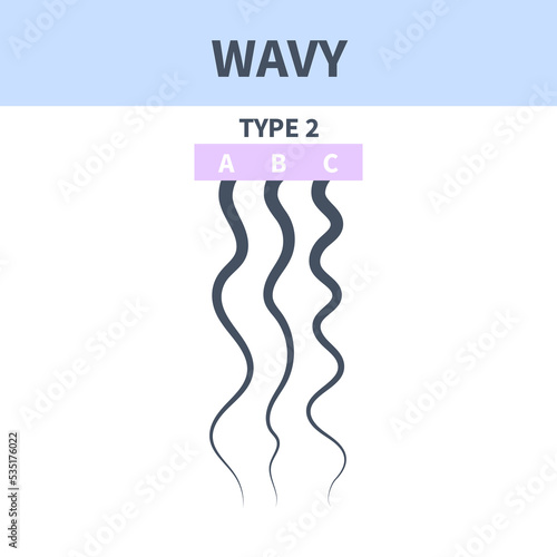 Wavy hair type classification system set. Detailed human hair growth style chart. Health care and beauty concept. Vector illustration.