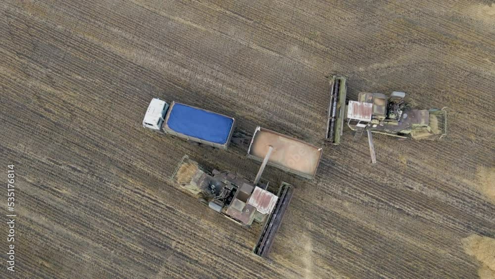 Harvester combine pours grain into truck on field. Machine pouring just harvested wheat. Agricultural tractor harvests wheat field on sunset. Production process in agribusiness. Grain, ears, food. Harvester combine pours grain into truck on field. Machine pouring just harvested wheat. Agricultural tractor harvests wheat field on sunset. Production process in agribusiness. Grain, ears, food.