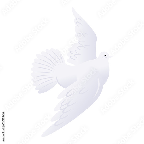 White pigeon vector illustration