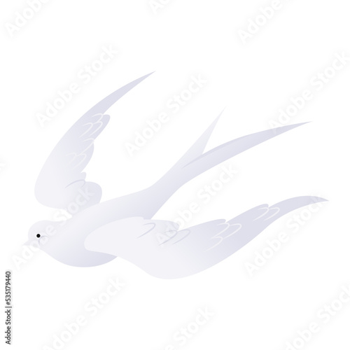 White pigeon vector illustration
