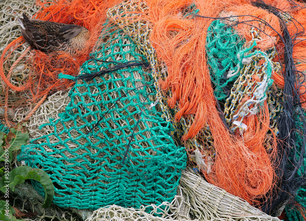 Colourful fishing nets with a sleeping duck