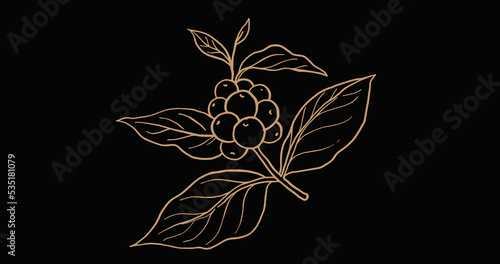 coffee, coffee bean, packaging, farmer, poster, label, ink, black, coffee, coffee bean, packaging, farmer, poster, label, ink, black, berry, leaf, fruit, branch, tree, plant, nature, food, berries
