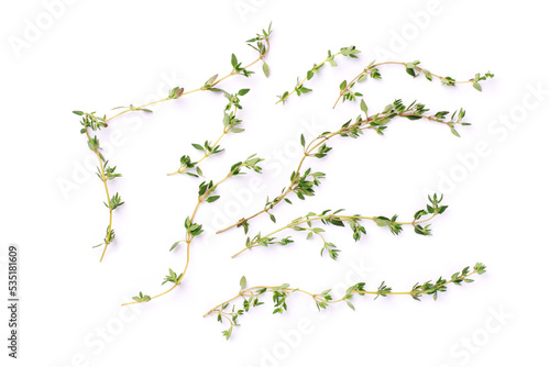 Fresh thyme sprig herbs isolated on white background. Top view. Flat lay