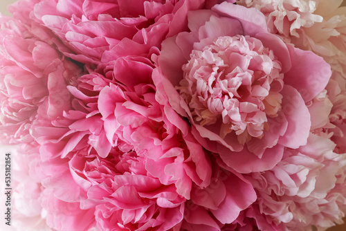 Fototapeta Naklejka Na Ścianę i Meble -  Closeup view of beautiful pink peony bouquet