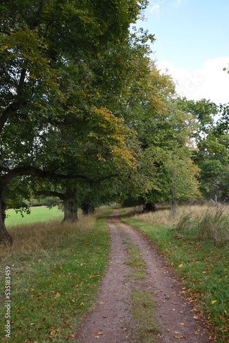 a footpath traveling though the new park at hagley