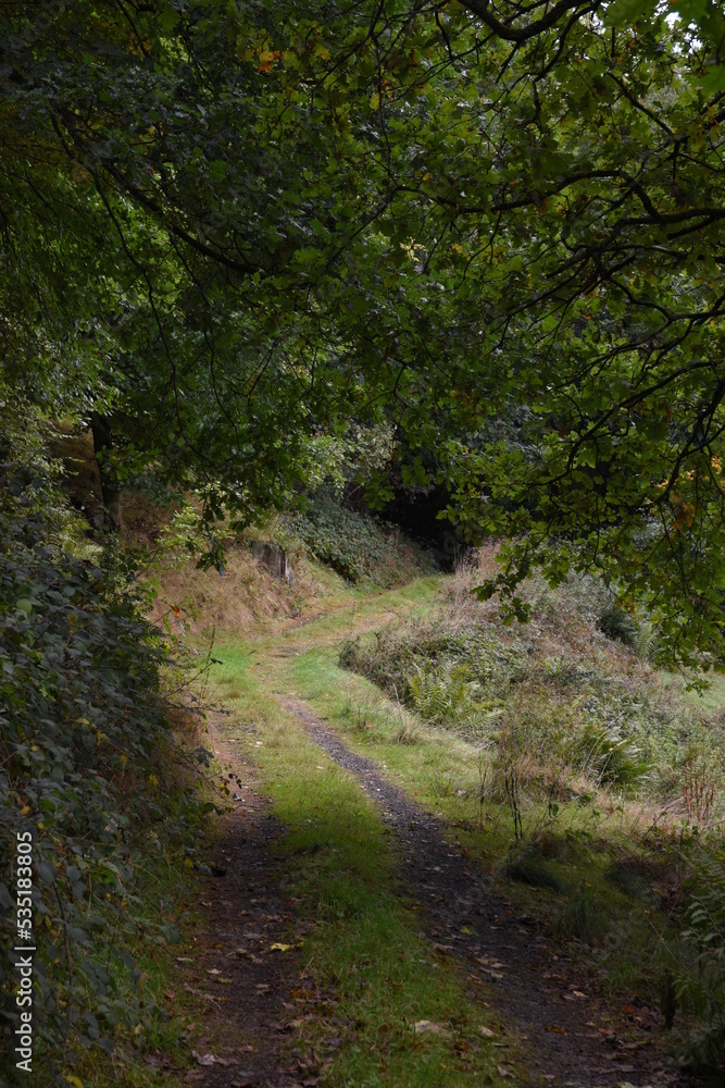 a footpath traveling though the new park at hagley a footpath traveling though the new park at hagley