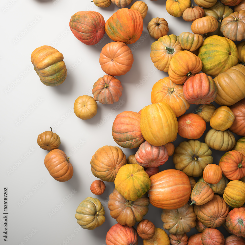 Autumn composition of orange pumpkins on white table background.