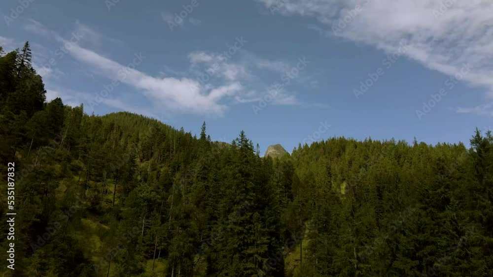 Drone view of a fir trees forest in the canton of Obwalden in Switzerland Drone view of a fir trees forest in the canton of Obwalden in Switzerland
